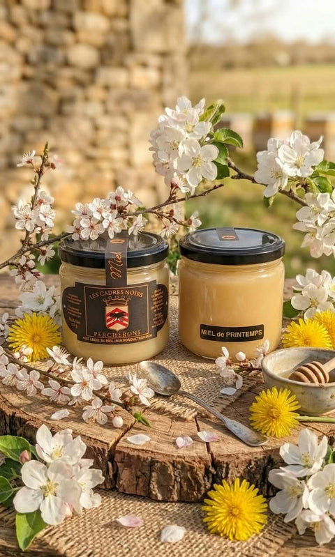 Miel de printemps 450G